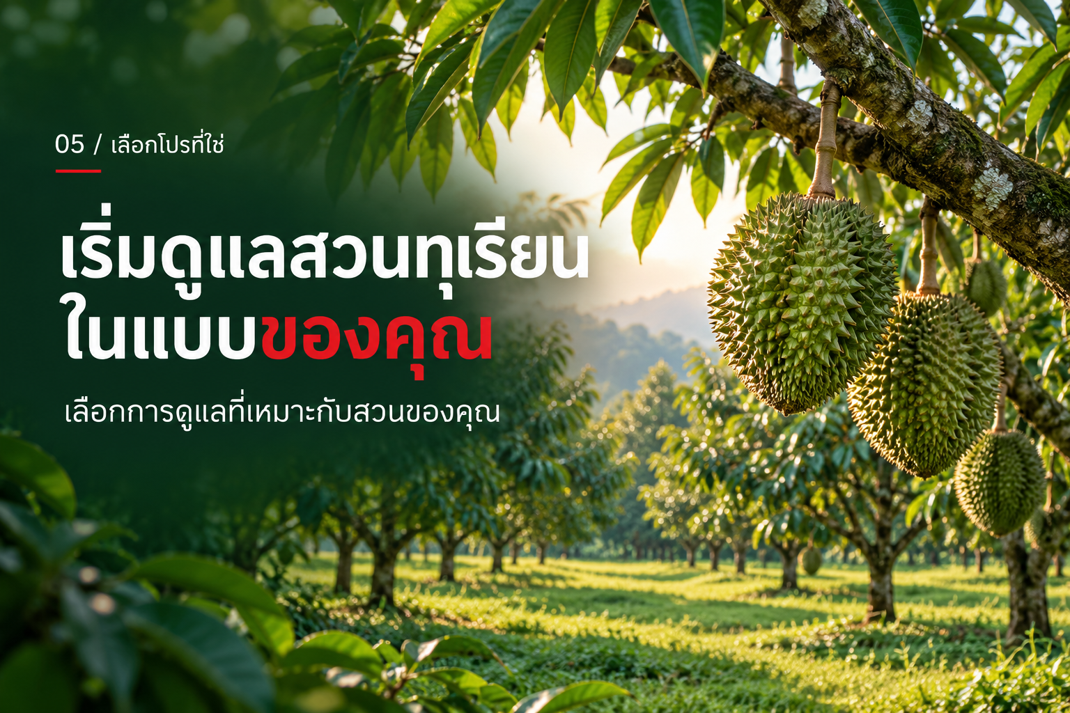 เริ่มดูแลสวนทุเรียน ในแบบของคุณ เลือกการดูแลที่เหมาะกับสวนของคุณ