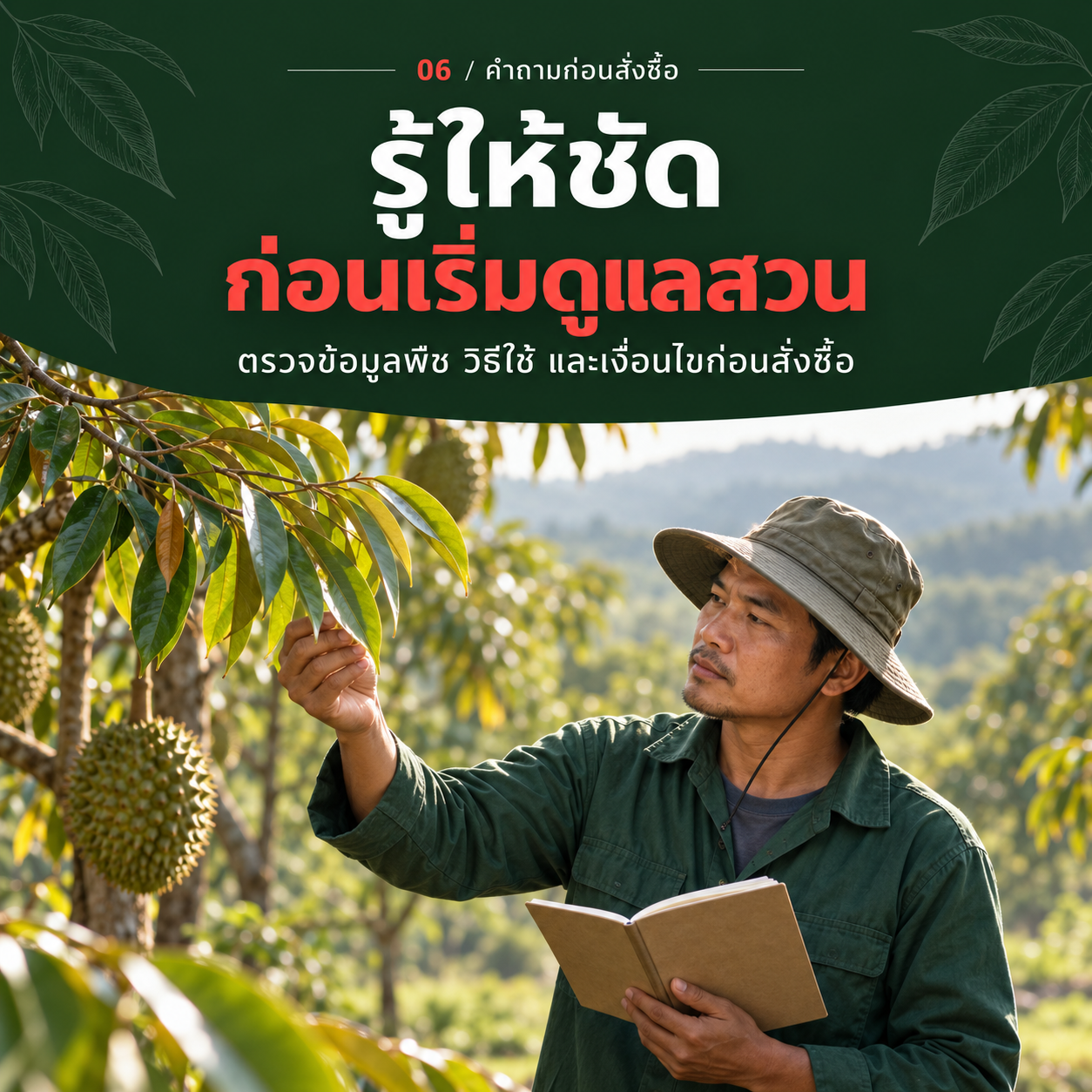 รู้ให้ชัด ก่อนเริ่มดูแลสวน ตรวจข้อมูลพืช วิธีใช้ และเงื่อนไขก่อนสั่งซื้อ