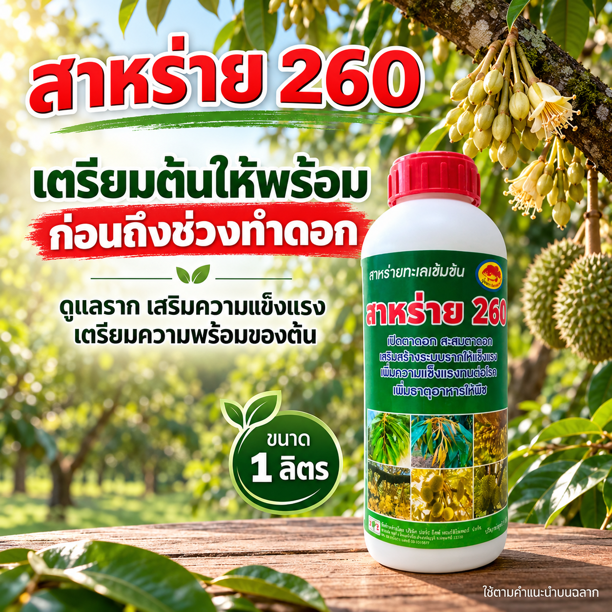 สาหร่าย 260 ขนาด 1 ลิตร เตรียมต้นให้พร้อมก่อนถึงช่วงทำดอก