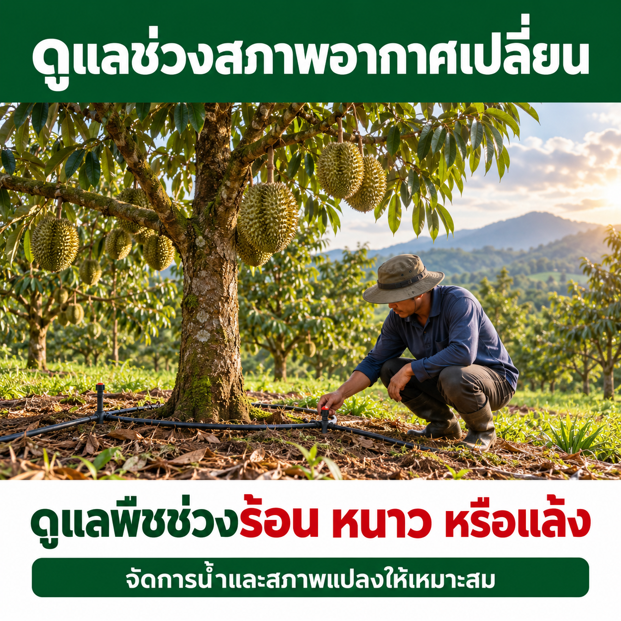 ภาพประกอบหัวข้อดูแลช่วงสภาพอากาศเปลี่ยน