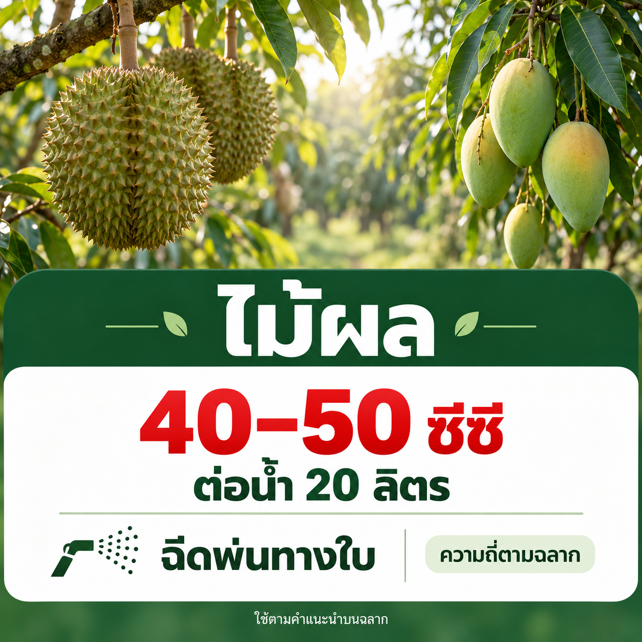 ไม้ผล 40–50 ซีซี ต่อน้ำ 20 ลิตร ฉีดพ่นทางใบ